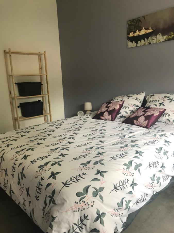 Appartement A Tarascon Sur Ariege Le Sabart Ngoại thất bức ảnh